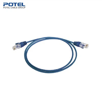 বিড়াল .6