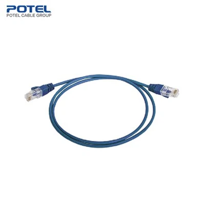 বিড়াল .6